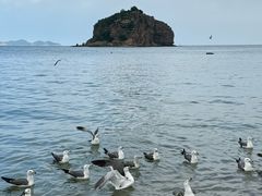 -棒棰岛宾馆景区