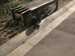 -青枫公园
