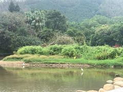 -深圳仙湖植物园-停车场