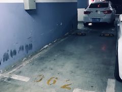 -紫荆广场-停车场