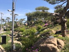 -罗红摄影艺术馆