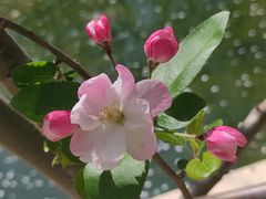 -元大都城垣遗址公园