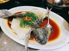 清蒸鲩鱼-淇乐多品味馆(江南大道店)