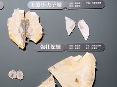 -遇见博物馆(遇见海洋沉浸式奇幻光影展)