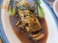 红烧河豚-天正河鲀·河豚亭(大连店)