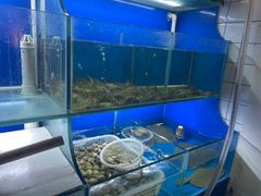 -阿鸡鱼庄·顺德鲜蒸小炒(亚运村店)