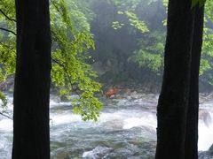 -大鄣山卧龙谷景区
