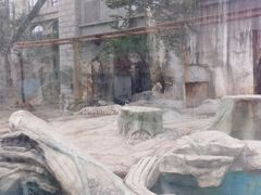 -灵玲国际马戏城