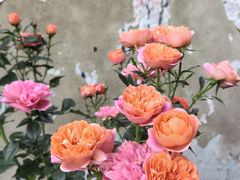 -Dior迪奥(海信广场店)