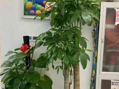 -北斗星爱涂艺术(城悦荟店)