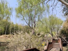 -竹子庵公园
