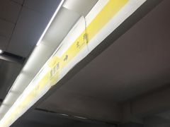 -望京西(地铁站)