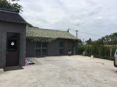 -南汇新场正宗水蜜桃采摘