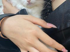 -lincat·猫舍(广州店)