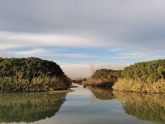 -沙家浜风景区