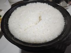 -煲来饱去冷水鱼