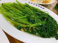 -长平老姿娘夜粥(平东一街店)
