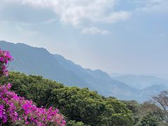 -广州市石门国家森林公园