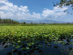 -野鸭湖国家湿地公园