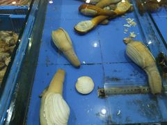 -山东八大碗山东老字号