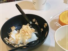 -志龙皇冠吃货椰子铺