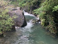 -祁门牯牛降观音堂风景区