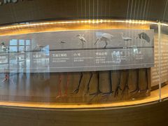 -漩门湾国家湿地公园