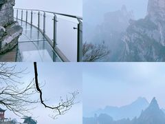 -张家界天门山国家森林公园