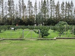 -前小桔亲子创意农场·草莓采摘·露营烧烤