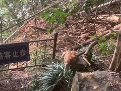 -采石矶景区