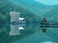 -江西阳明山国家森林公园