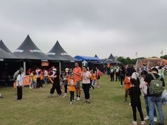 -春花秋色城市公园