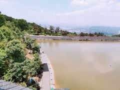 -铁山坪森林公园