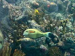 -上海海洋水族馆