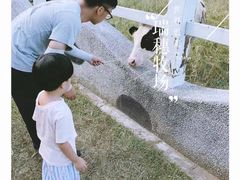 -瑞穗牧场
