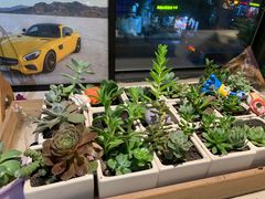 -王红军龙虾(新民路店)