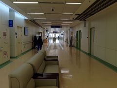 -首都医科大学附属北京天坛医院