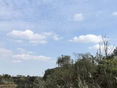 -白鹭湾湿地公园