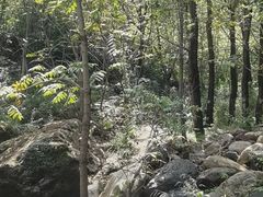 -云岫谷游猎自然风景区