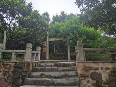 -雨花胜境