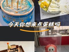 -维尔纳斯·生日蛋糕·动物奶油冰淇淋蛋糕(六里桥店)