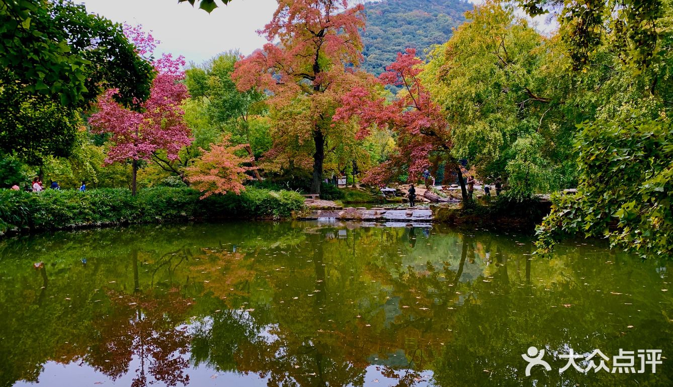 天平山虽然海拔只有200多米,在中国的诸多名山中算不