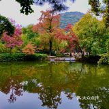 天平山虽然海拔只有200多米,在中国的诸多名山中算不