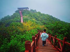 -大岭沟猕猴桃谷风景区