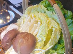 -同仁四季椰子鸡(罗湖国贸店)