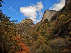 -青峰峡国家森林公园