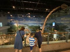 -自贡恐龙博物馆