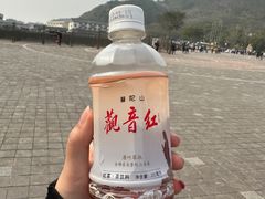 -枣子树·素食餐厅(朱家尖店)