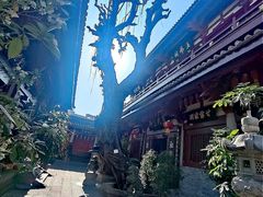 -叩齿古寺