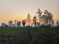 -秦文明广场